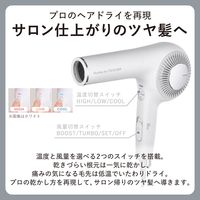 ドライヤー 速乾 大風速 1300W プロテクトイオン サロンクオリティ ホワイトアッシュ NIB500B-W テスコム 1個（直送品）