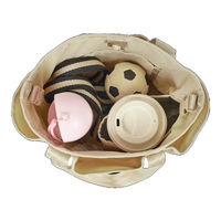 エアバギー ペット用 ウィズウォータープロテクト オーガナイザー ブラック 1個 GMPインターナショナル