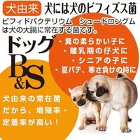 ドッグ B&S お徳用 プレミアム ビフィズス菌 国産（1g×60包）1個 トーラス 犬用 サプリメント