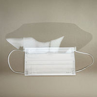 つばさ 医療用サージカルマスクφシールド付き 2982 アイシールド付きマスク　使い捨て　目を保護　1箱（50セット入）