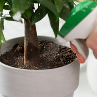 【園芸用品】フマキラー 植物まわりのコバエカダン 300ml 4902424451535 1個