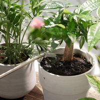 【園芸用品】フマキラー カダン感動肥料原液バイオパワー 500ｍｌ 4902424451504 1本