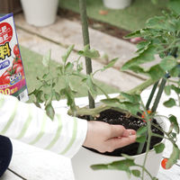 【園芸用品】フマキラー カダン感動肥料トマト・ナス・キュウリ用 500ｇ 4902424451498 1個