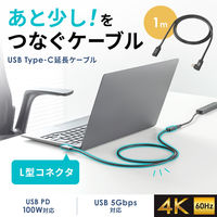 サンワサプライ USB5Gbps TypeーC延長ケーブル（L型・PD100W・1m） KUー5GCCP100ENL10 1本