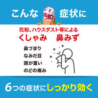新コンタック600プラスs 12カプセル Haleonジャパン 鼻炎薬 くしゃみ 鼻みず 鼻づまり なみだ目【指定第2類医薬品】