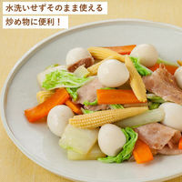 キユーピー　サラダクラブ　うずら卵水煮 1袋（6個入）（わけあり品）