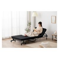 アイリスオーヤマ 折りたたみベッド OTB-KRR ブラック 1台（直送品）