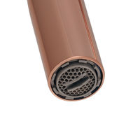 カクダイ 泡沫立形自在水栓 KB 700-812-BR 1個（直送品）