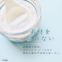 カンペハピオ 復活洗浄剤 ステンレスシンククリーナー 100ML 17660142100 1個（直送品）
