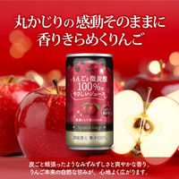 神戸居留地 りんごと微炭酸 100% やさしいジュース 185ml 1箱（20缶入）