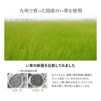 イケヒコ・コーポレーション い草シーツ ブルー ベビーサイズ 約70×120cm 67-5723-28 1個（直送品）