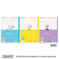 日本ノート ノート スヌーピー セミB5 自主学習 5mm方眼26枚 3色セット PST5J03 1セット(1パック(3色入)×3)