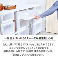 【引き出し収納】　天馬　フィッツケース アドバンス 55ー40Lホワイト/クリア　幅40.0×奥行55.0×高さ30.0cm　1個