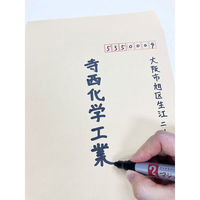 寺西化学工業 マジックインキ No670 丸太字 単色 赤 M670-T2 1本（わけあり品）