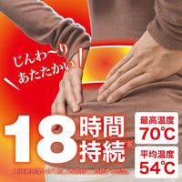 はらない快温くんミニ30コ入 カイロ 防寒 寒さ対策 暖かい 防災 備蓄 小さめ 4547691669711 1箱(1個(30枚入)x16)（直送品）