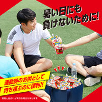 大正製薬 リポビタン　アイススラリー ハニーレモン風味 30個 保冷バッグ付きセット 1セット