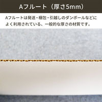 シモジマ 板ダンボール 片面白 寸法：1200×900mm 紙厚：5mm 1梱包（10枚入） FB13-0010-AS