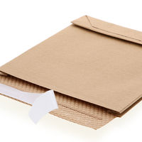 HEIKO 紙製クッション付き宅配袋 茶 200×40×220mm 封かんシール付 1セット（1袋（10枚入）×10） 004192021