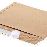 HEIKO 紙製クッション付き宅配平袋 茶 295×220mm 封かんシール付 1セット（1袋（10枚入）×5） 004192026