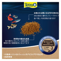 テトラ プランクトン 熱帯魚用 観賞魚用フード 小さな顆粒タイプ 沈下性 90g 1個 スペクトラムブランズジャパン