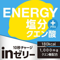 inゼリー（インゼリー） エネルギーレモン 塩分プラス 1セット（1個（180g）×12） クエン酸 森永製菓