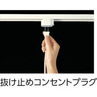 パナソニックエレクトリックワークス社 抜け止めコンセントプラグ DH2671 1個