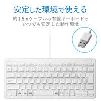 エレコム 有線ミニキーボード/パンタグラフ式/薄型/ホワイト TK-FCP096WH 1個