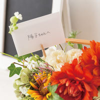 ヘッズ 封筒ホワイト-XS FUW-XS 1セット(240枚:20枚×12パック)