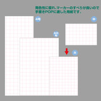 ササガワ POP用紙 大 白 アミ目入 12A2901 1冊(50枚)