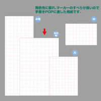 ササガワ POP用紙 みの判 白 アミ目入 12A2903 1冊(50枚)