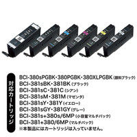 キヤノン（Canon）用 詰め替えインク INK-C381S30S6 （BCI-380PGBK・381BK・C・M・Y・GY用） 1パック（6色入）（直送品）