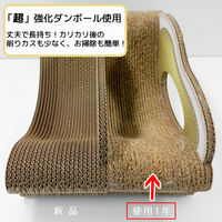 CARICARINA（カリカリーナ） ハリウッドブラック スタンダード M 105098 1個（直送品）