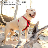 EZYDOG（イージードッグ） ハーネス M 胴周り45～73cm オレンジ 中型犬用ハーネス 胴輪 109172 1個（直送品）