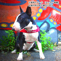 EZYDOG（イージードッグ） クイックハーネス M 胴周り50～65cm オレンジ 中型犬用ハーネス 胴輪 109177 1個（直送品）