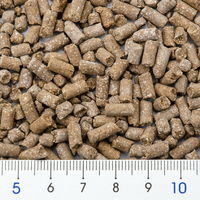 efish（エフィッシュ） シェルストロング 甲殻類の赤をより赤く 600ml ビーシュリンプ エビ甲殻強化 173493 1個（直送品）