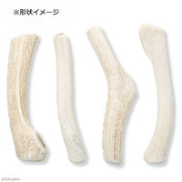 Leaf Corporation（リーフコーポレーション） 鹿の角 白 ロング 1本 長さ15～20cm前後 196360 1個（直送品）