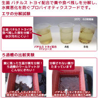 Leaf Corporation（リーフコーポレーション） 業務用 ff num100 アロワナ用 スティック 浮上性 10kg 201861 1個（直送品）