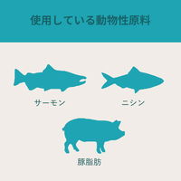 ACANA アカナクラシック ワイルドコースト 9.7kg 301289 1個（直送品）