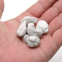 Seachem（シーケム） マトリックス Matrix 1L 淡水・海水用 多孔質ろ材 44174 1個（直送品）