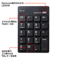 サンワサプライ ワイヤレスUSBテンキー NT-WL20BK 1個