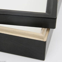 志賀昆虫 特製ドイツ型標本箱 178856 1個（直送品）