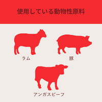 ACANA アカナ レッドミートレシピ 9.7kg 301291 1個（直送品）