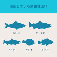 ACANA アカナ パシフィカドッグレシピ 6kg 309058 1個（直送品）