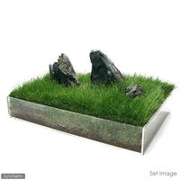 アクリル水槽 サイズ：45×30×7cm 45cm水槽 43911 1個（直送品）