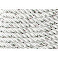 エスコ 14mmx 30m ナイロンロープ(両側アイ加工) EA628MC-141A 1巻（直送品）