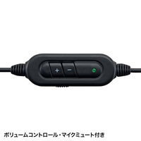 サンワサプライ USBヘッドセット MM-HSU05BK 1個（直送品）