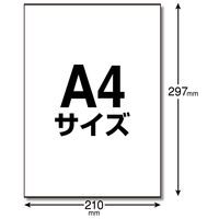 エレコム ラベルシール 宛名シール 速貼 A4 フリーカット ノーカット 20枚 EDT-TMQN1 1袋（直送品）