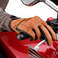 デイトナ HBG-110 カウレザープロテクターグローブ ブラウン M 17756 1個（直送品）