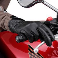 デイトナ HBG-109 カウレザーグローブ ブラック S 17739 1個（直送品）