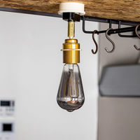 TIC 本体 1灯スポットライト 引掛シーリング用 ブラス TC-1001-BS 1個（直送品）